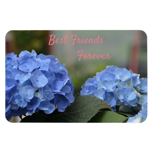 Magnet Flexible Meilleurs amis pour toujours Hydrangeas (Horizontal)