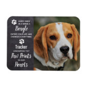 Magnet Flexible Mémorial beagle (Horizontal)