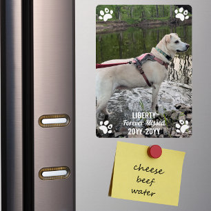 Magnet Flexible Mémorial d'animal de compagnie disparu pour toujou
