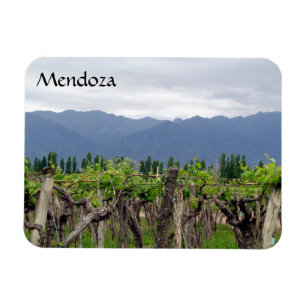 Magnet Flexible mendoza