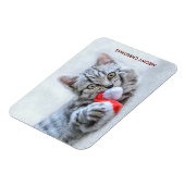 Magnet Flexible Meowy Christmas Cute Grey Tabby Cat (Côté Gauche)