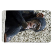 Magnet Flexible Mer de Chimpané 013 (Horizontal)