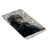 Magnet Flexible Mer de Chimpané 013 (Côté Droit)