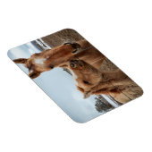 Magnet Flexible Mère Cheval et poulain (Côté Droit)