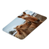 Magnet Flexible Mère Cheval et poulain (Côté Gauche)