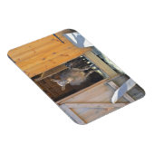 Magnet Flexible Mère chèvre et petit aimant (Côté Droit)