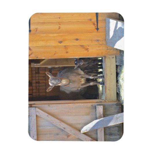 Magnet Flexible Mère chèvre et petit aimant (Vertical)