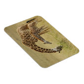Magnet Flexible Mère et bébé Masai Giraffe, Giraffa (Côté Droit)