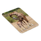 Magnet Flexible Mère girafe et bébé au Kenya (Côté Droit)