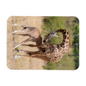 Magnet Flexible Mère girafe et bébé au Kenya (Horizontal)