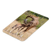Magnet Flexible Mère girafe et bébé au Kenya (Côté Gauche)