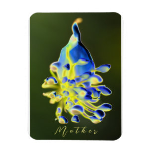 Magnet Flexible Mère Nature 3" x 4" Aimant photo flexible