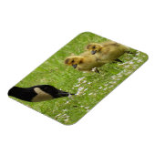 Magnet Flexible Mère Oie (canada) et oisons (Côté Gauche)