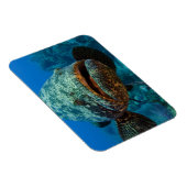 Magnet Flexible Mérou géant de l'Atlantique (Côté Droit)