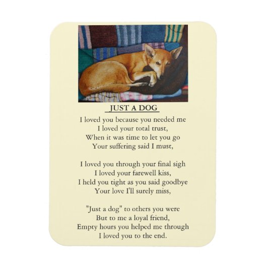Magnet Flexible message de sympathie original pour chien (Vertical)