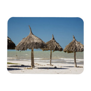 Magnet Flexible Mexique, péninsule du Yucatan, Progreso. Chaume