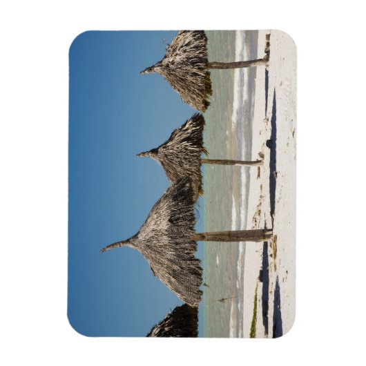 Magnet Flexible Mexique, péninsule du Yucatan, Progreso. Thatch (Vertical)