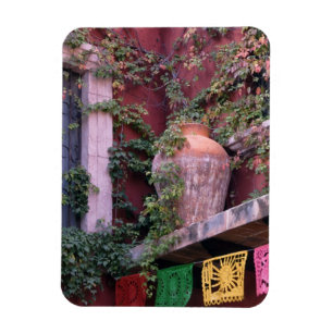 Magnet Flexible Mexique, San Miguel de Allende, Lierre, pot en arg
