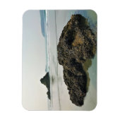 Magnet Flexible Meyers Beach North, Gold Beach, Oregon (Vertical)