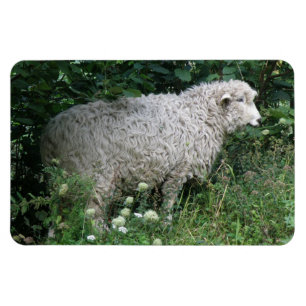 Magnet Flexible Mignonette gourmande Manger de l'aimant de qualité