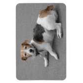 Magnet Flexible Mignonne Beagle Mongrel (Vertical)