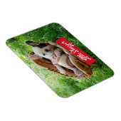 Magnet Flexible Mignonne chiot dans un Mitt de baseball (Côté Droit)