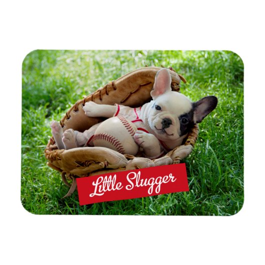 Magnet Flexible Mignonne chiot dans un Mitt de baseball (Horizontal)