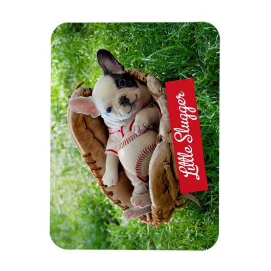 Magnet Flexible Mignonne chiot dans un Mitt de baseball (Vertical)