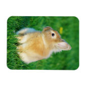 Magnet Flexible Mignonne Lapin Faune assis dans l'herbe (Horizontal)