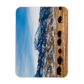 Magnet Flexible Migration des bisons (Vertical)