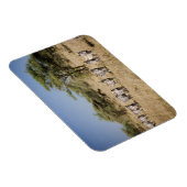 Magnet Flexible Migrer la zèbre, Tanzanie (Côté Droit)