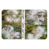 Magnet Flexible Milkweed | Flexible naturel (Horizontal)