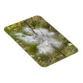 Magnet Flexible Milkweed | Papillon | Flexible (Côté Droit)