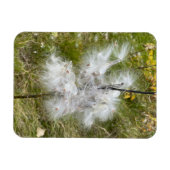 Magnet Flexible Milkweed | Papillon | Flexible (Horizontal)