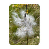 Magnet Flexible Milkweed | Papillon | Flexible (Vertical)
