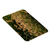 Magnet Flexible Millet sauvage (Panicum Sp.) Croissance Dans Les Z (Côté Droit)