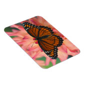 Magnet Flexible Mimique Du Papillon Monarque (Côté Droit)