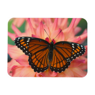 Magnet Flexible Mimique Du Papillon Monarque