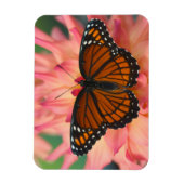 Magnet Flexible Mimique Du Papillon Monarque (Vertical)