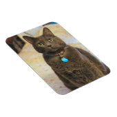 Magnet Flexible Mims (Côté Droit)