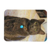 Magnet Flexible Mims (Horizontal)