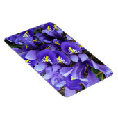 Magnet Flexible Miniature Bleu Irises Printemps Floral (Côté Droit)