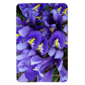 Magnet Flexible Miniature Bleu Irises Printemps Floral (Vertical)
