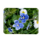 Magnet Flexible minuscules fleurs bleues (Horizontal)