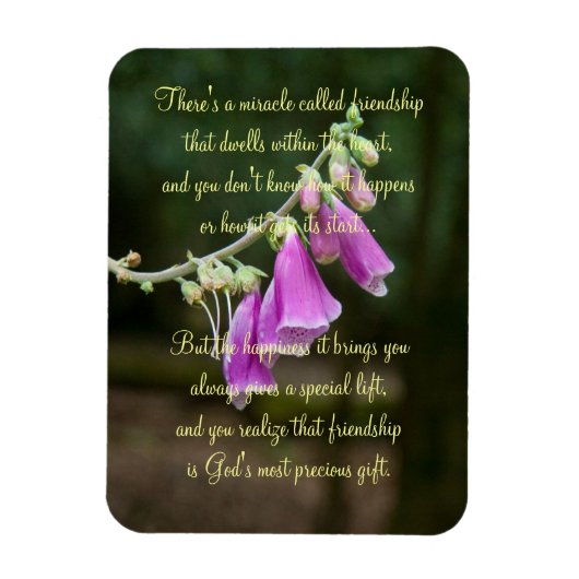 Magnet Flexible Miracle Of Friendship Poem Plaque (Vertical)