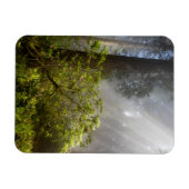 Magnet Flexible Mist du matin sur Rhododendron (Horizontal)