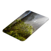 Magnet Flexible Mist du matin sur Rhododendron (Côté Gauche)