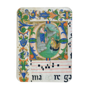 Magnet Flexible Mme 515 f.1r l'ébauche miraculeuse des poissons,