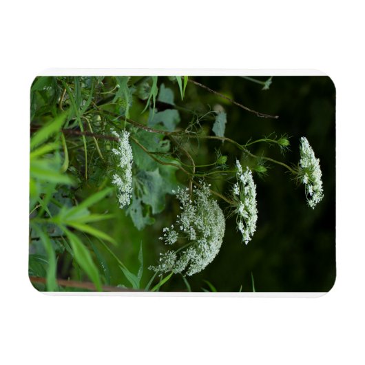 Magnet Flexible modèle d'aimant à refrig 3x4 (Horizontal)