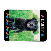 Magnet Flexible Moderne simple Nom et photo de l'animal (Horizontal)